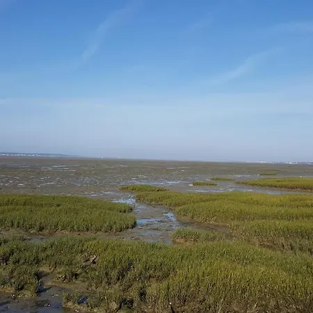 Feriehus Grande Maison De Famille Patio, Babyfoot, Velos, Wifi Marennes (Charente-Maritime)