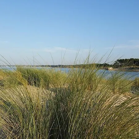 Grande Maison De Famille Patio, Babyfoot, Velos, Wifi * Marennes (Charente-Maritime)